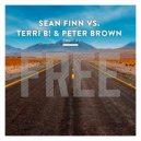 Sean Finn vs. Terri B! & Peter Brown - Free (Jay Frog Remix)
