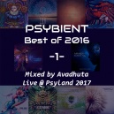 Avadhuta - Psybient: Best of 2016, Vol.1 (Live @ Psyland 2017)