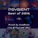 Avadhuta - Psybient: Best of 2016, Vol.1 (Live @ Psyland 2017) (Original Mix)