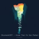 ShurmenkOFF - Know That I'm Not Perfect