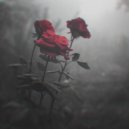 Insomnia - Thorns
