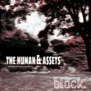The Human & Assets - Cosmic Era