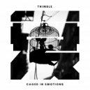 Thimble - Inner Voice