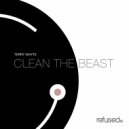 Terry Whyte - Stay Clean (Original Mix)