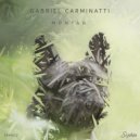 Gabriel Carminatti - Little Sun