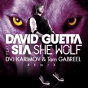 David Guetta feat. Sia - She Wolf (DVJ KARIMOV & Tom GABREEL remix)
