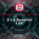 Ace Of Base & Axe-D feat. Dima Sochan - It\'s A Beautiful Life (DJ Andreevich Mash 2017)