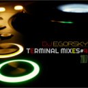 DJ Egorsky - Terminal mixes#4(2017)
