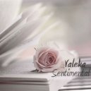 VALEKA - Sentimental (The Liquid DnB Mix)