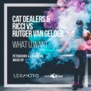 Cat Dealers & RICCI vs Rutger Van Gelder - What U Want (Petrashov & Lexandro Mashup) (Original Mix)