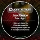 Isaac Elejalde - Weeping Willow (Original Mix)