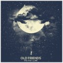 Bright Land - Old Friends