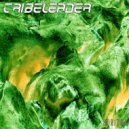 Tribeleader - Where