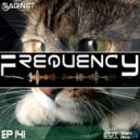 Dj Saginet - Frequency Sessions 141
