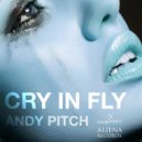 Andy Pitch - Cry In Fly