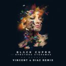 Black Cupro & Кристина Стельмах - Не Вернусь (Vincent & Diaz Remix) (Original Mix)