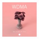 WDMA - Because of You