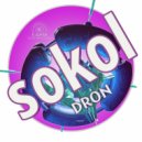 Sokol - Dron