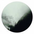Eban Krocher - Birds In Forest (Original Mix)