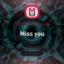 Territory of Sound - Miss you (original mix)