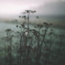 Insomnia - By My Side