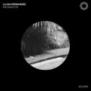 Lujan Fernandez - I Like The Sound (Original Mix)