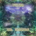 Psypien - The Great Indoors (Original mix)