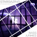 Bass Junkies & Savannah Low - Stargazing (feat. Savannah Low)