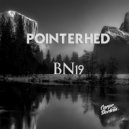 Pointerhed - BN19