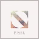 PINEL - Notations