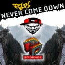 RuK - Never Come Down
