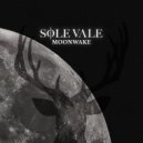 Sole Vale - Immersed (Original Mix)