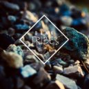 Donk - Tribes (Original Mix)