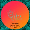 Danilo Milani - Night Slice (Original mix)