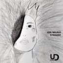 Joel Walrus - Shooting Gallery (Original mix)