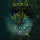 Sygnals - Clematis