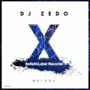 DJ Zedo - Melody