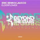 Eric Senn & Laucco - Elderflower (Original Mix)