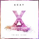 ACAY - Tribe Vibe
