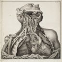 Rex Mundi The Great - Dick & Balls (Original Mix)