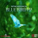 Spacecoach - Blue Bird