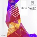 Ryan David - Funky Springtime (Original Mix)