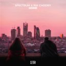Spectrum & Ria Choony - Home (feat. Ria Choony)
