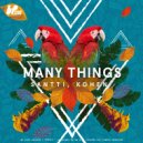 Santti & Kohen - Many Things