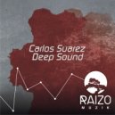 Carlos Suarez - Deep Sound