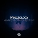 Princeology - Momentum