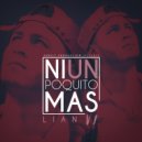 Lian Vi - Ni Un Poquito Mas (Original Mix)