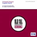 Christopher Hermann - Forgotten Past (BerzeK Remix)