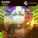Ravek - Tribu (Original Mix)