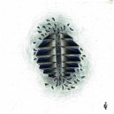 Wukah - Elephant Juice (Original Mix)